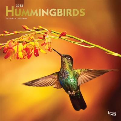 2022 Square Calendar Hummingbirds - BrownTrout Publishers Inc