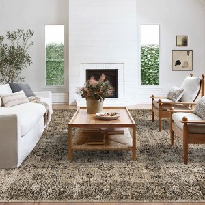 Coolmee Washable Area Rugs for Living Room, Faux Wool Soft Moody Floral Boho Vintage Oriental Indoor Carpet for Bedroom Dining Room - 1 of 4