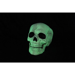 Seasons Crazy Bones 6 in. Glow in the Dark Halloween Decor (Pack of 6) - 1 of 1