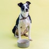 Mason Cash: Embossed Bone Dog Bowl, Gray, 8", 50.7oz, Food & Water Dish - 3 of 4