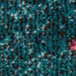 navy/turquoise