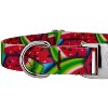 Country Brook Petz Premium Summer Melon Dog Collar - 4 of 4