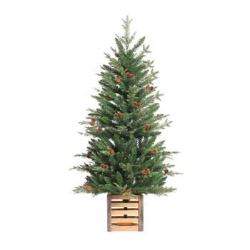 4ft Pre-Lit Asheville Fir Potted Artificial Christmas Tree - Haute Décor