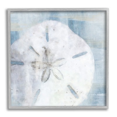 Stupell Industries Pastel Blue Sand Dollar Seashell Framed Giclee Art