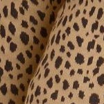 soft camel animal