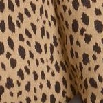 soft camel animal