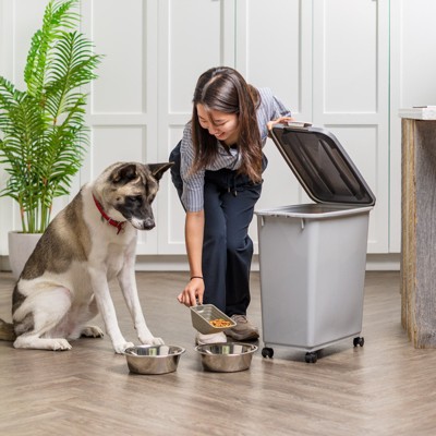 Gray Airtight Plastic Pet Food Storage Container with Wheels, 40 lbs Capacity