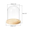 Unique Bargains Wooden Base Plants Home Decor Glass Bell Jar Display Case - 2 of 4