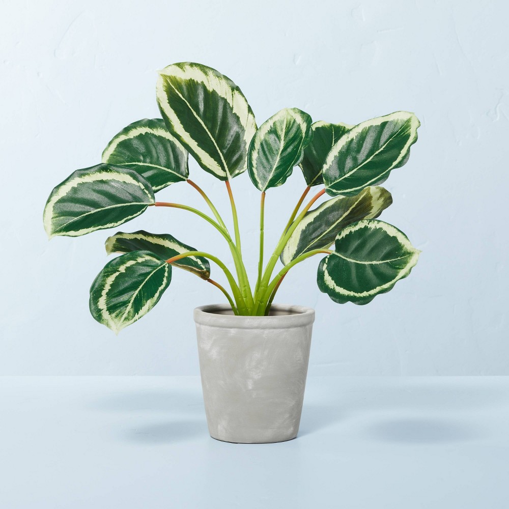 14" x 16" Faux Calathea Plant in Ceramic Pot - Hearth & Hand with Magnolia