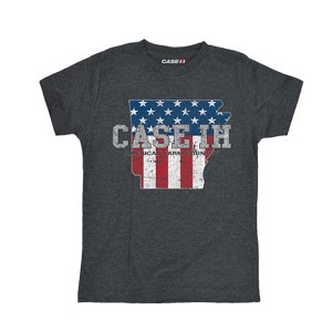 Boys' - Case IH - Country Patriotic AR Short Sleeve Graphic T-Shirt - 1 of 4