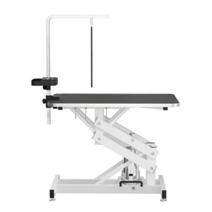 Hydraulic Dog Grooming Table with Adjustable Z Lift and Arm,330 lb Capacity,Professional Pet Grooming Station–LAOTIES - 1 of 4