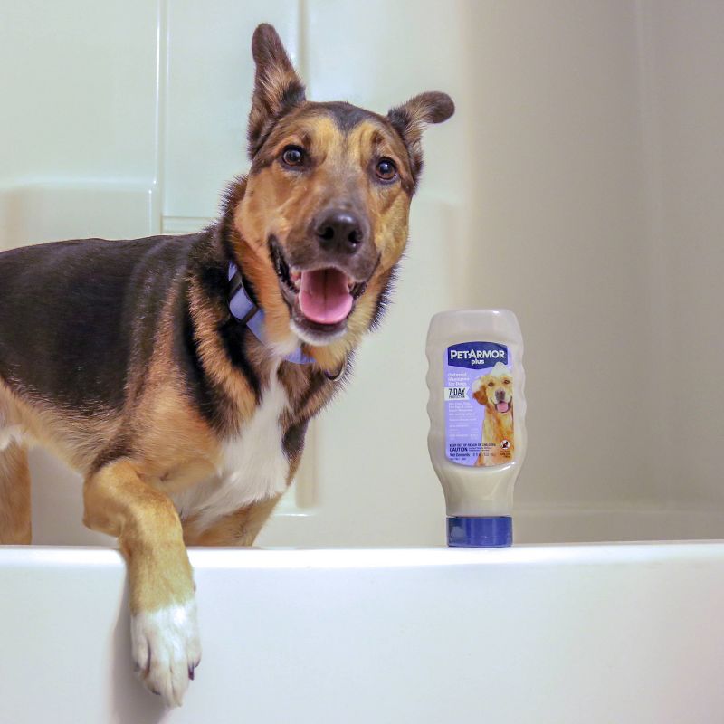 PetArmor Plus Shampoo for Dogs - 18 fl oz, 4 of 5