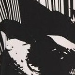 black/ivory blooming stripe