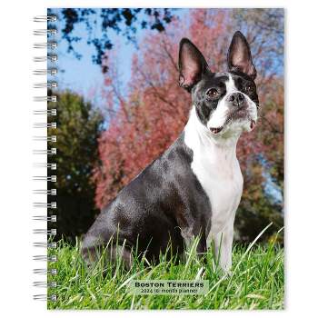 Browntrout 23-2024 Weekly/Monthly Planner 7.5x7.125 Cat Lovers