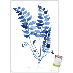 Trends International Jean Plout - Indigo Botanical Asplenium Trichomanes Unframed Wall Poster Prints - 1 of 4