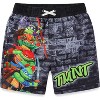 Nickelodeon Teenage Mutant Ninja Turtles Boys UPF 50+ Swim Trunks Bathing Suit for Big Kids - 4 - 2 of 4
