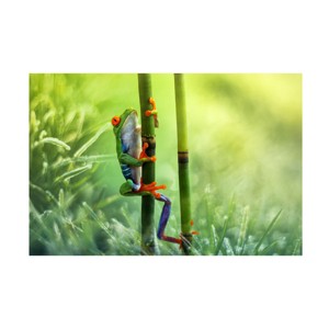 Trademark Fine Art Wil Mijer  Climb Canvas Wall Art - 1 of 4