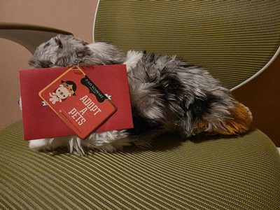 Guest review image 3 of 4, zoom in