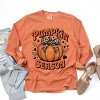 Simply Sage Market Coquette Pumpkin Season Leopard Garment Dyed Long Sleeve - 3 of 4
