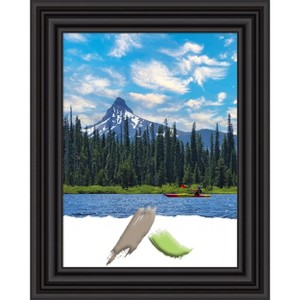 Amanti Art Colonial Black Picture Frame - 1 of 4