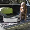 Dakota 283 Dine N Dash Large On-the-Go Travel Pet Feeding and Watering System with 8-Inch Twist Lid, Coyote Tan - 3 of 4