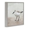 Stupell Industries Lone Sandpiper Bird Portrait Framed Giclee Art - 2 of 4