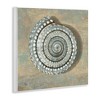 Stupell Industries Spiral Shell Beach Objects Design, 12" x 12" - 3 of 4