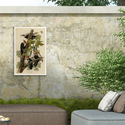Large Tan and Green Canvas Print of Pileated Woodpeckers