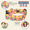 Country Brook Petz HossFit Jr Wide Deluxe Dog Collar - Tasty Collection - 4 of 4