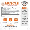 Genius Muscle Builder – Strawberry Vanilla Mass Gainer for Lean Muscle & Strength – Natural Anabolic Activator for Men & Women - 2 of 4