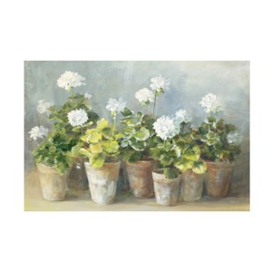 Trademark Fine Art -Danhui Nai 'White Potted Geraniums' Canvas Art - 1 of 4