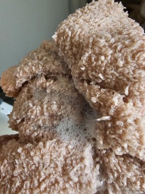 Guest review image 3 of 3, zoom in