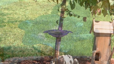 Blue Glass Flower Bird Bath with Copper Stake and Black Clamp