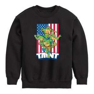 Boys' - Teenage Mutant Ninja Turtles - USA Turtles Graphic Long Sleeve Fleece Sweatshirt - 1 of 4