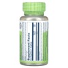 Solaray Sweet Wormwood, 300 mg, 100 VegCaps - 2 of 4