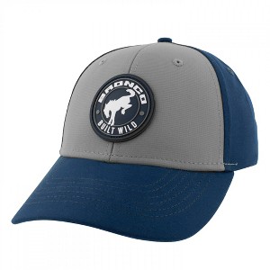 Adult Ford Bronco Built Wild Low Profile Snapback Hat - 1 of 4