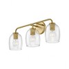 Lark Percy 3 - Light Vanity in  Antique Nickel - 4 of 4