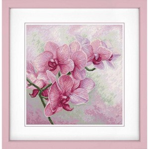 Kit Broderie Point De Croix Luca-S B7009 – Orchidées Gracieuses 25x25 Cm, Niveau Intermédiaire