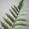 Sullivans Artificial Potted Fern; Green - 2 of 4