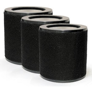 Nispira 2-in-1 True HEPA Replacement Filter for Air Purifier | Compatible with TaoTronics TT-AP008 | Remove Smoke, Dust, Pollen | 3 Packs - 1 of 4