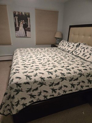 Guest review image 2 of 2, zoom in