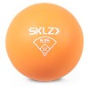 SKLZ Throwing Plyo Balls - 4 of 4
