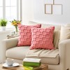 REGALWOVEN Daisy Decorative Cute Floral Embroidery Flower Pattern Cushion Covers Pack of 2 - 2 of 4