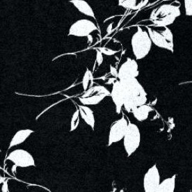 black ivory floral
