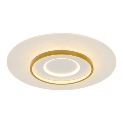 YIYIBYUS Round Dimmable LED Ceiling Light with Remote Control