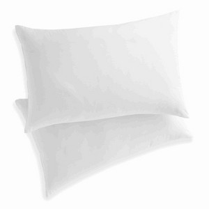 White Pillow and Pillow Protector Set with SILVERbac Technology by Martex Clean Essentials - 1 of 4