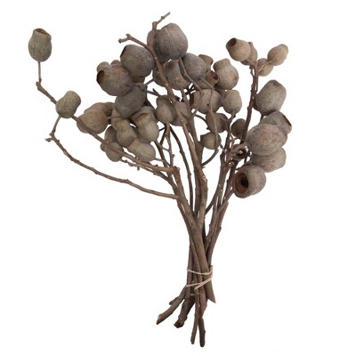 Vickerman Natural Botanicals 11" x 4" Bellgum Branch, 5-7 Bells, 10 stems per unit