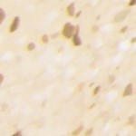 beige granite
