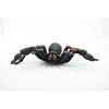 Collectible Wildlife Gifts | Spider, Tarantula,  Red Knee, Museum Quality, Hand Painted, Rubber Arachnida,  Toy Model, Gift,  5"   CH193 BB116 - 4 of 4