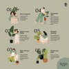 Maia Shop 3.5ft Artificial Olive Tree, Fake Plants for Home Decor, Indoor Tropical Decoration - 2 of 4